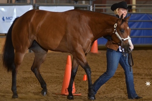 Grand Charade Picture 1