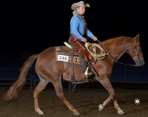 Hollywood Sure Slide