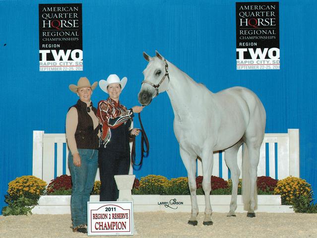 Absolute Sky 2012 Select World in Showmanship, Performance Halter Geldings